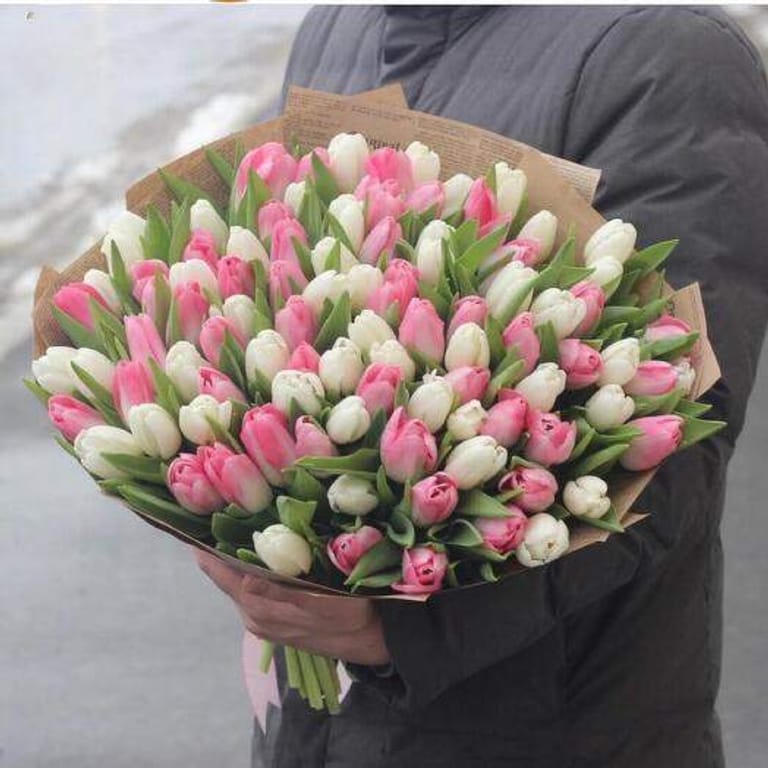101 Pink White Tulips Bouquet-A226 - Image 1