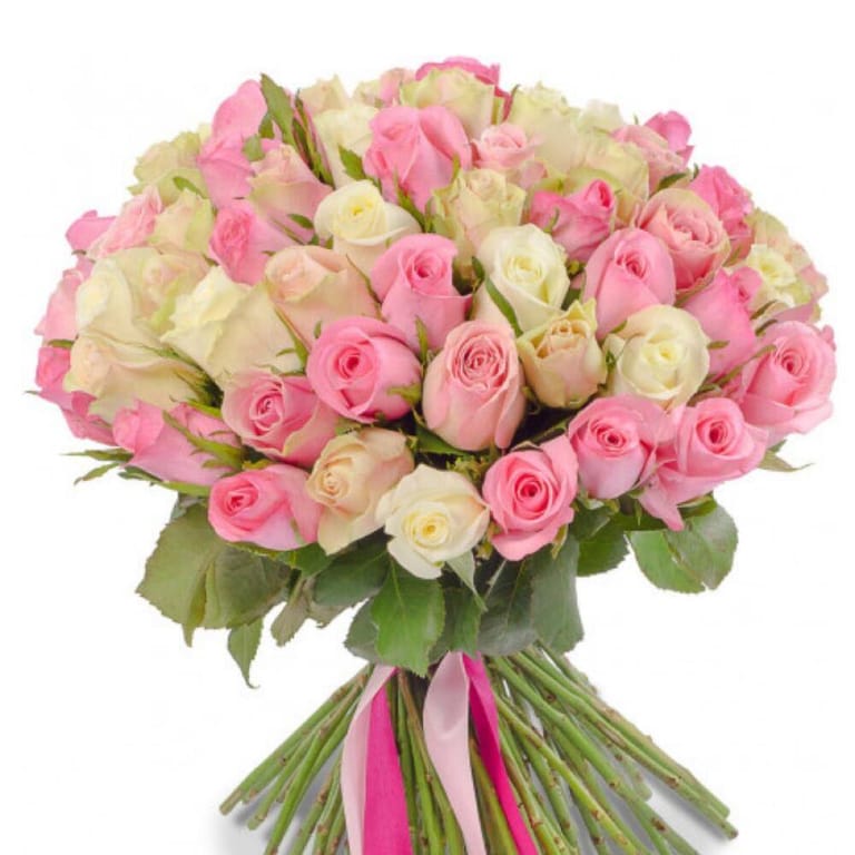 51 Pink White Roses Hand-Tied Bouquet-A236 - Image 1