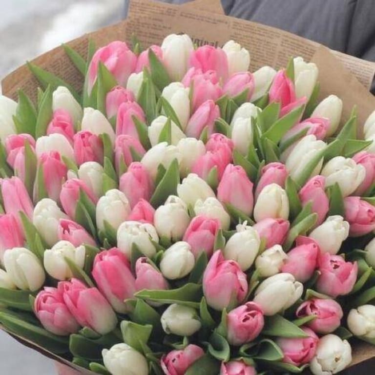 101 Pink White Tulips Bouquet-A226 - Image 2