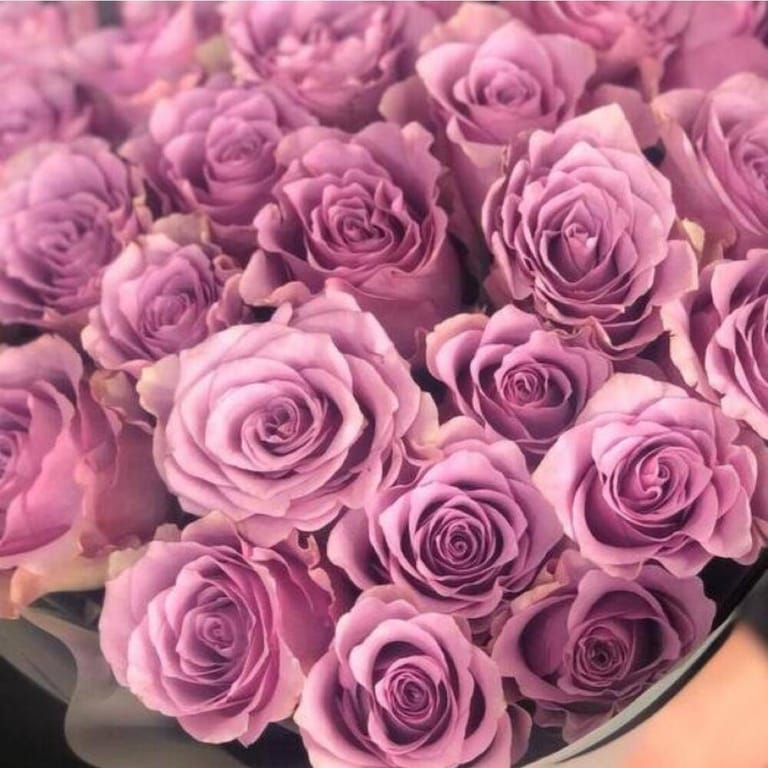 29 Tiara Purple Rose Bouquet-A205 - Image 3