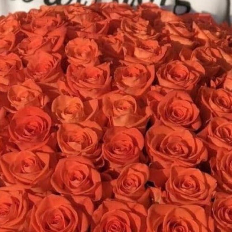 101 Luxury Orange Roses Flower Box-A225 - Image 3