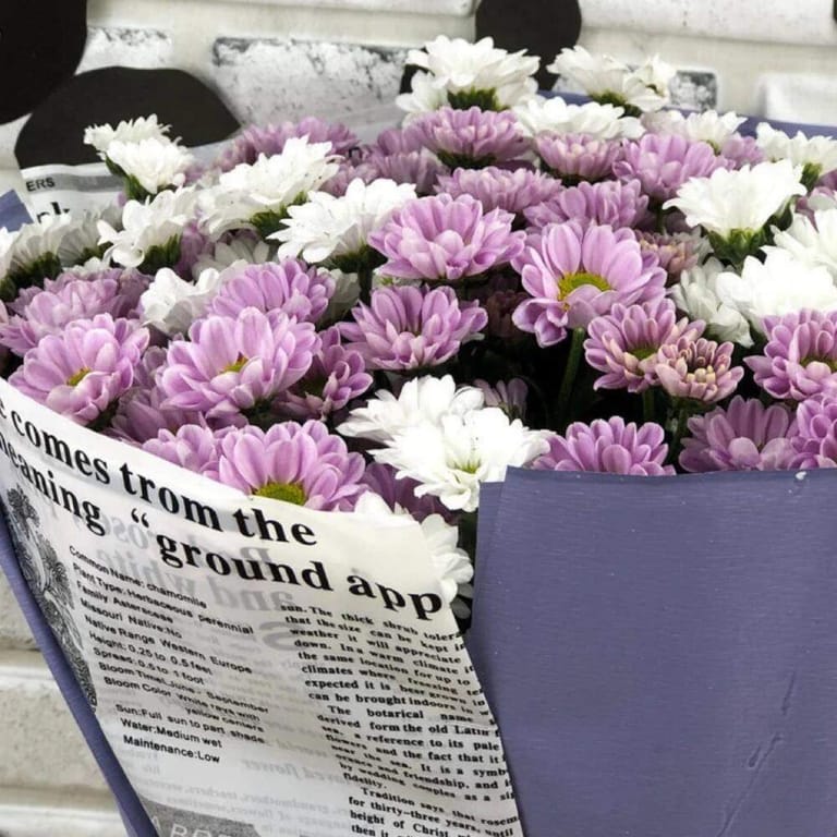 25 Purple White Chrysanthemum Bouquet-A229 - Image 4