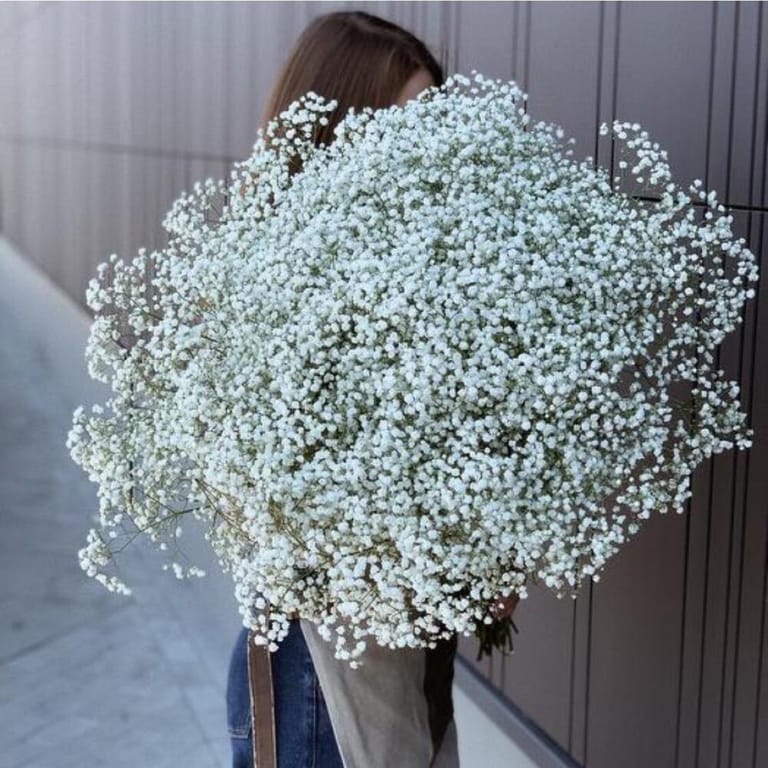 25 White Gypsophila Hand-Tied Bouquet-A269 - Image 1