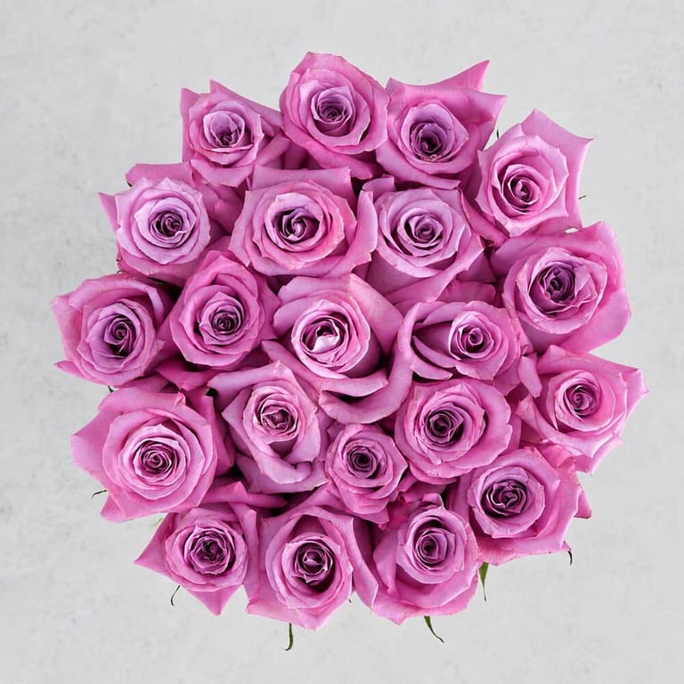 21 Purple Roses in Round Flower Box-A237 - Image 2