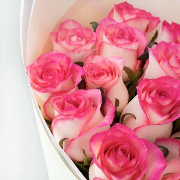 15 Pink Jumilia Roses Bouquet-A261 - Image 3