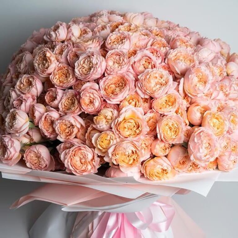 101 Luxury Julietta Peony Rose Grand Bouquet-A330 - Image 1