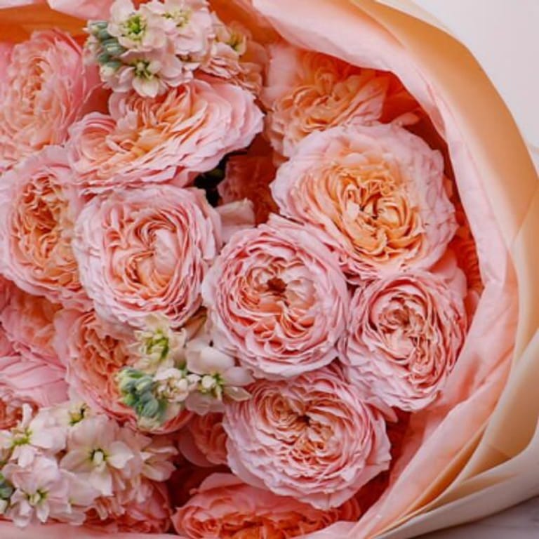 15 Julietta Peony Roses Bouquet-A292 - Image 5