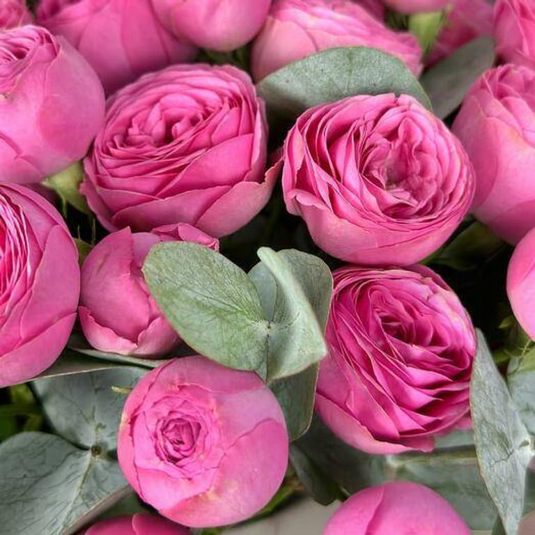 11 Giselle Peony Roses Flower Box-A355 - Image 6
