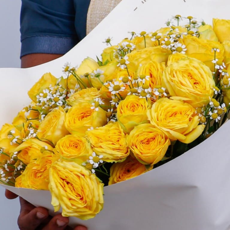 15 Premium Yellow Peony Roses-A293 - Image 6