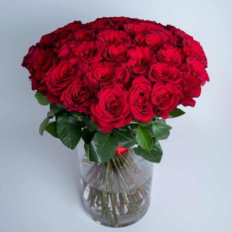 51 Red Roses Luxury Glass Vase Arrangement-A424 - Image 1