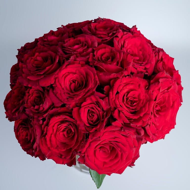 25 Red Roses Luxury Glass Vase Arrangement-A425 - Image 2
