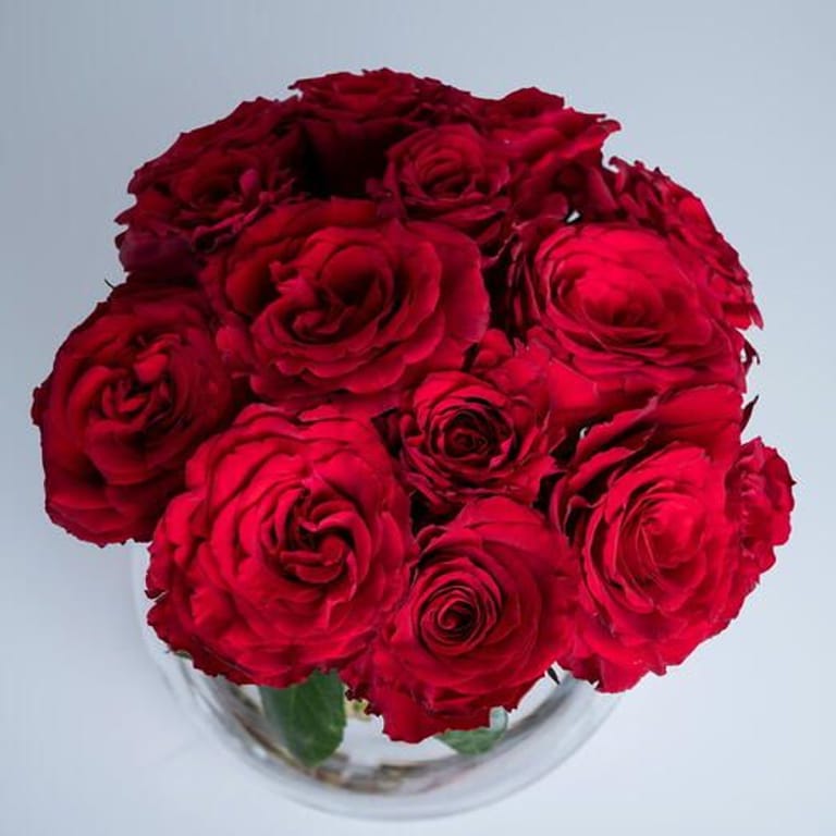 11 Red Roses Luxury Glass Vase Arrangement-A426 - Image 3