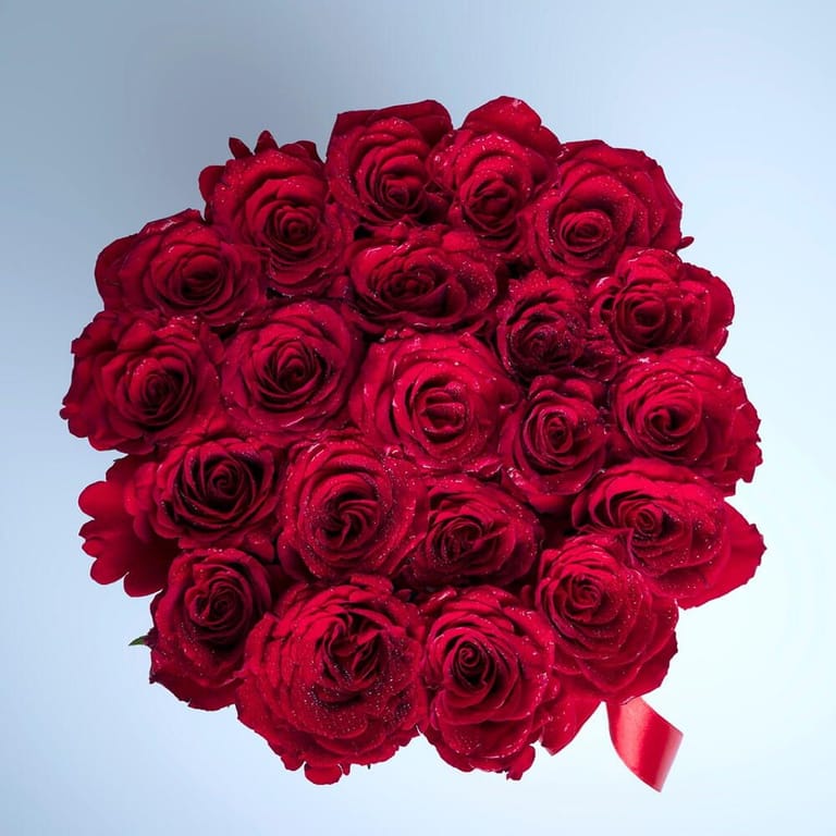 21 Red Roses Luxury White Round Box Arrangement-A431 - Image 3