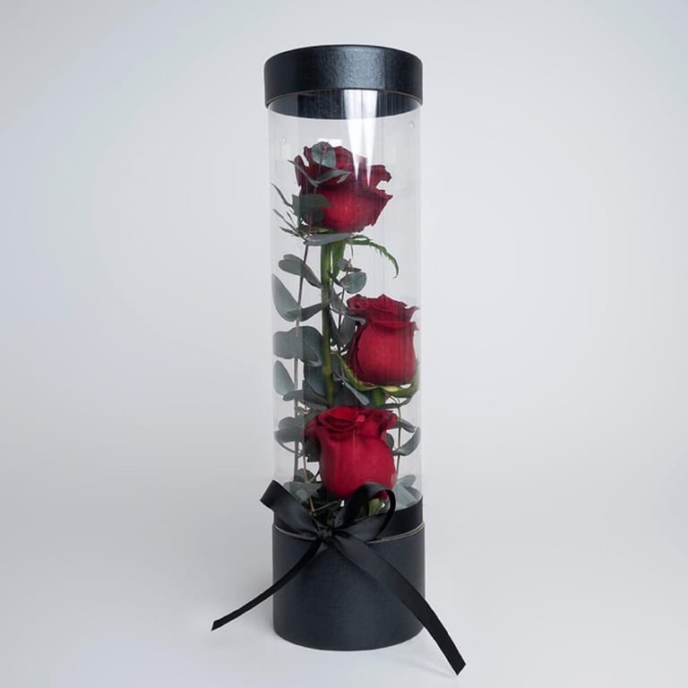 3 Red Roses Luxury Transparent Black Cylinder Box-A445 - Image 1