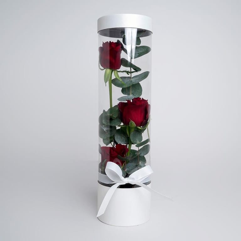 3 Red Roses Luxury Transparent White Cylinder Box-A446 - Image 1