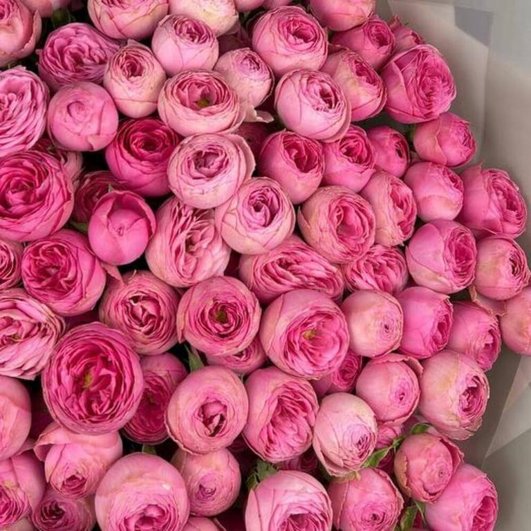 51 Silva Peony Spray Roses Grand Luxury Bouquet-A712 - Image 5