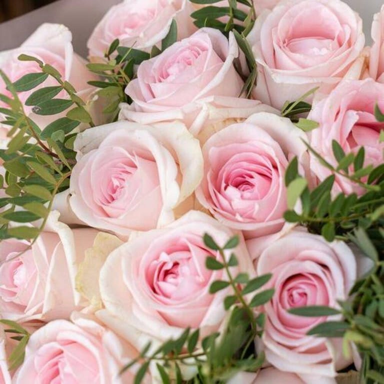 25 Blush Pink Roses Luxury Bouquet-A782 - Image 5