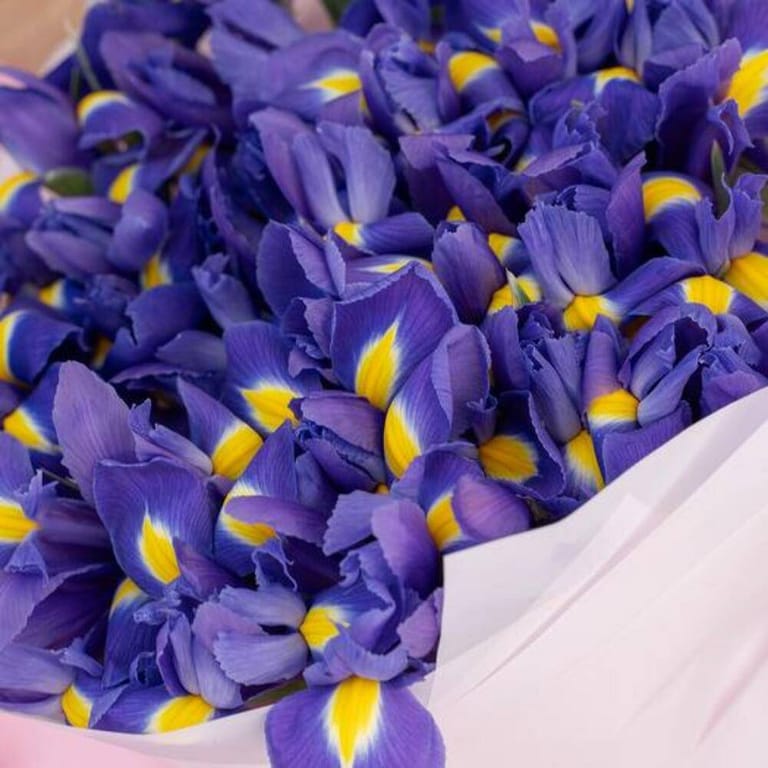 51 Purple Iris Luxury Bouquet-A821 - Image 4
