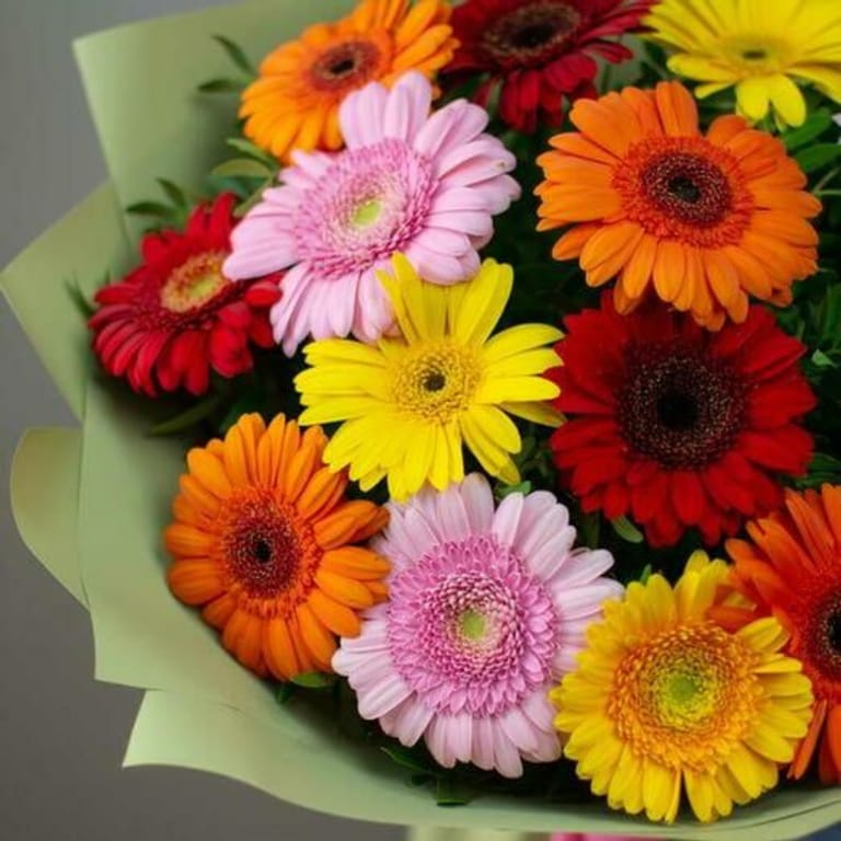 15 Mixed Color Gerbera Luxury Bouquet-A813 - Image 5