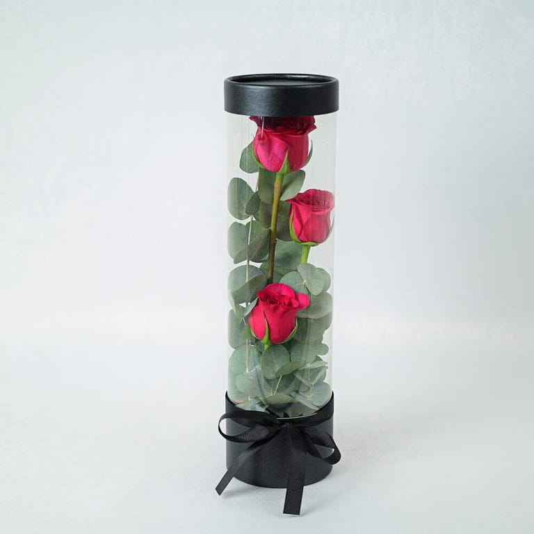 3 Dark Pink Roses In Clear Cylinder Gift Box-A970 - Image 1