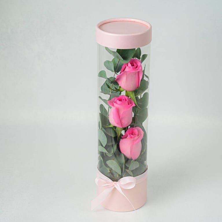 3 Pink Roses In Clear Cylinder Gift Box-A971 - Image 1