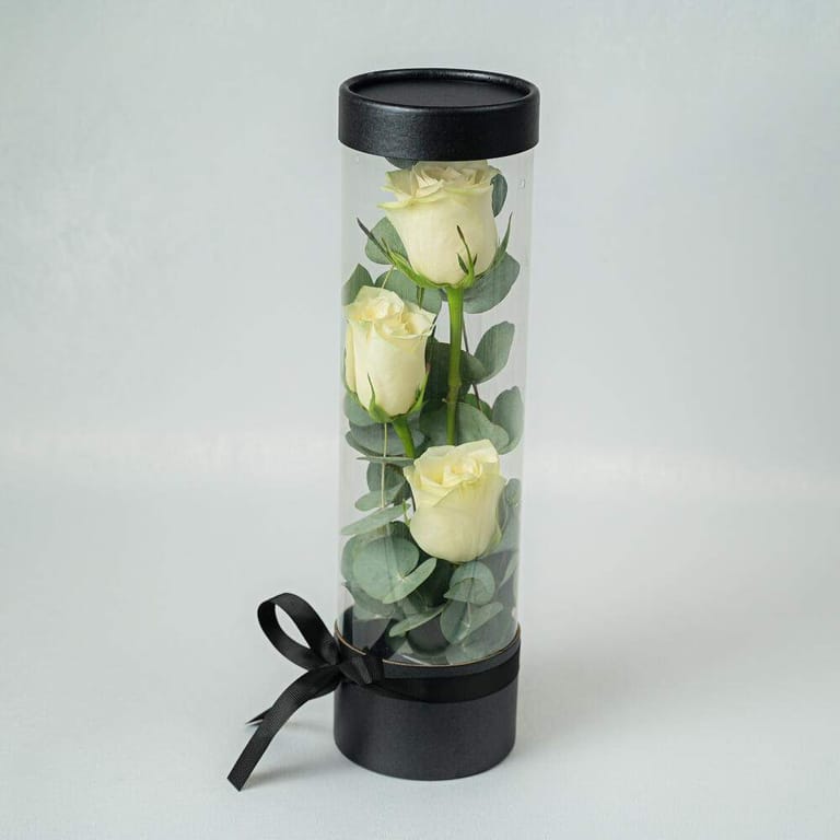3 White Roses In Clear Cylinder Gift Box-A973 - Image 1