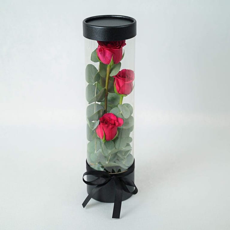 3 Dark Pink Roses In Clear Cylinder Gift Box-A970 - Image 2
