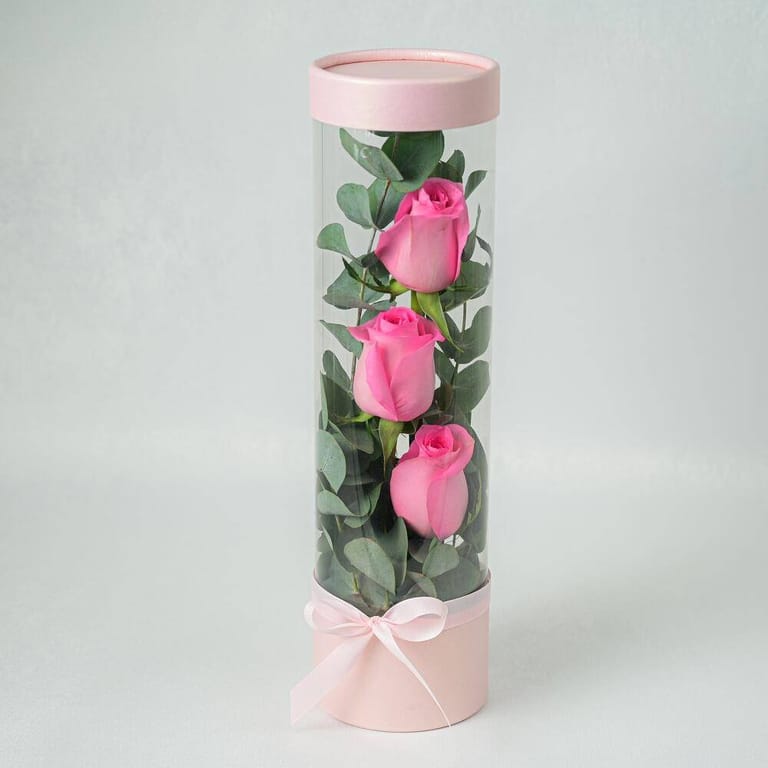 3 Pink Roses In Clear Cylinder Gift Box-A971 - Image 2