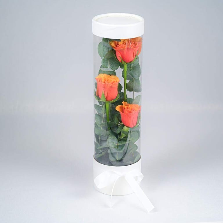 3 Orange Roses In Clear Cylinder Gift Box-A975 - Image 1