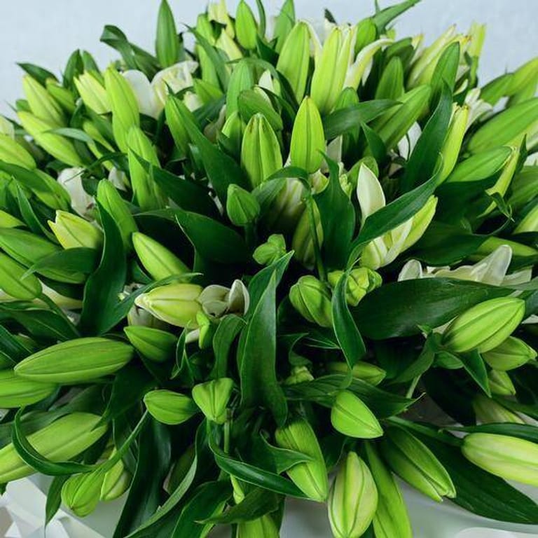 101 White Lilies Luxury Bouquet-A967 - Image 3