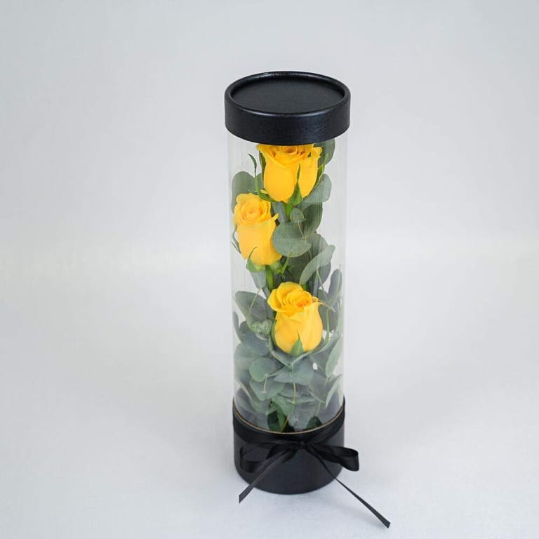 3 Yellow Roses In Clear Cylinder Gift Box-A974 - Image 2