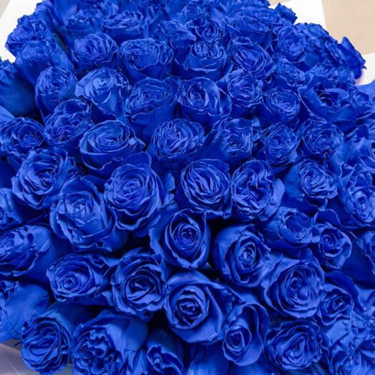 101 Royal Blue Roses Grand Luxury Bouquet-A1000 - Image 5