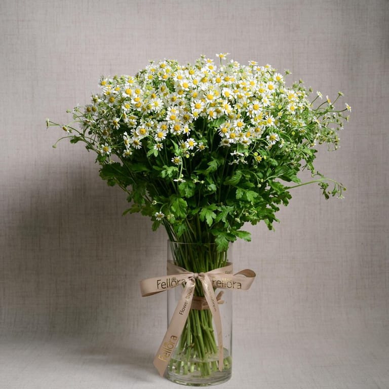 25 Daisy Tanacetum Flowers In Glass Vase-A1131 - Image 1