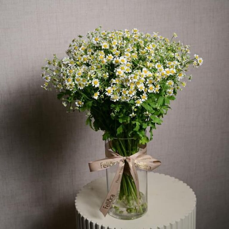 15 Daisy Tanacetum Flowers In Glass Vase-A1133 - Image 1