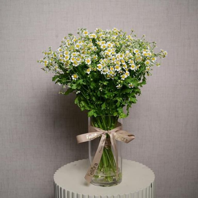 15 Daisy Tanacetum Flowers In Glass Vase-A1133 - Image 2