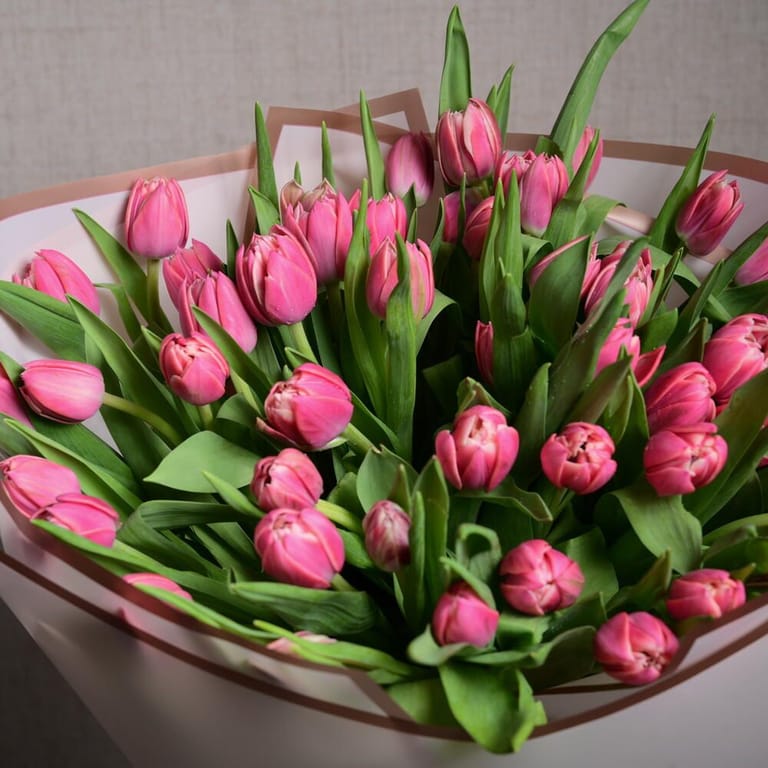 51 Dark Pink Double Petal Tulips Bouquet-A1120 - Image 4
