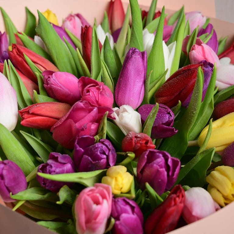 51 Mixed Color Tulips Bouquet-A1121 - Image 6