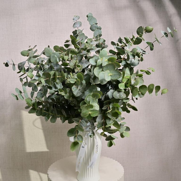 15 Stems Fresh Eucalyptus Greenery Bouquet-A1207 - Image 2