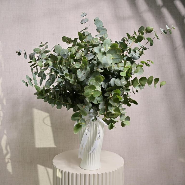 15 Stems Fresh Eucalyptus Greenery Bouquet-A1207 - Image 3