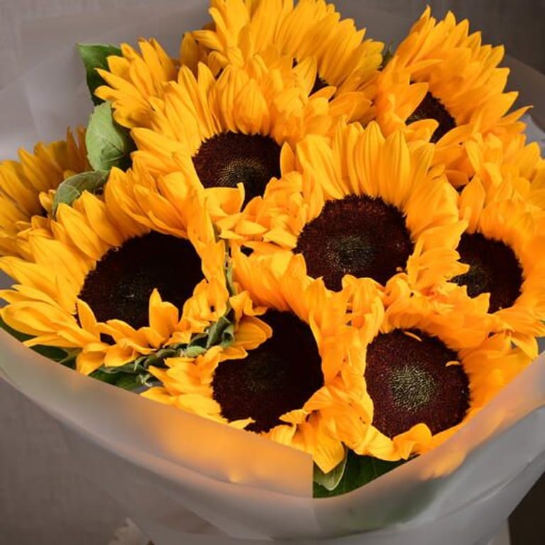 11 Sunflowers Luxury Bouquet-A1200 - Image 6