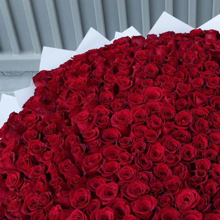 501 Red Roses Grand Luxury Bouquet-A1424 - Image 3