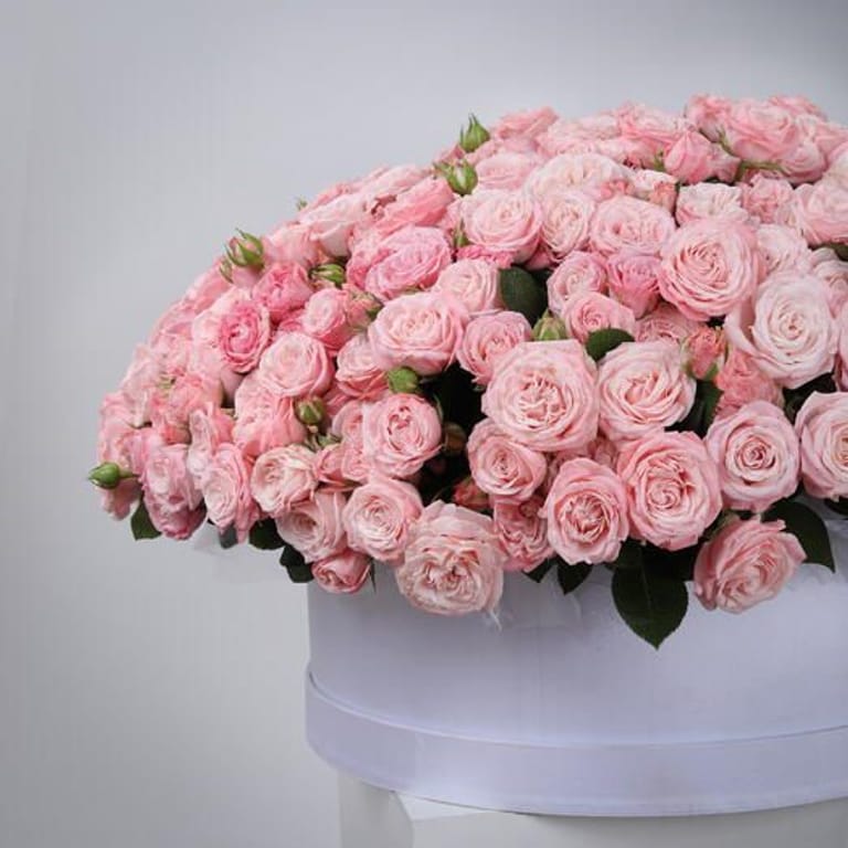 101 Madam Bombastic Spray Roses Luxury Flower Box-A1426 - Image 4