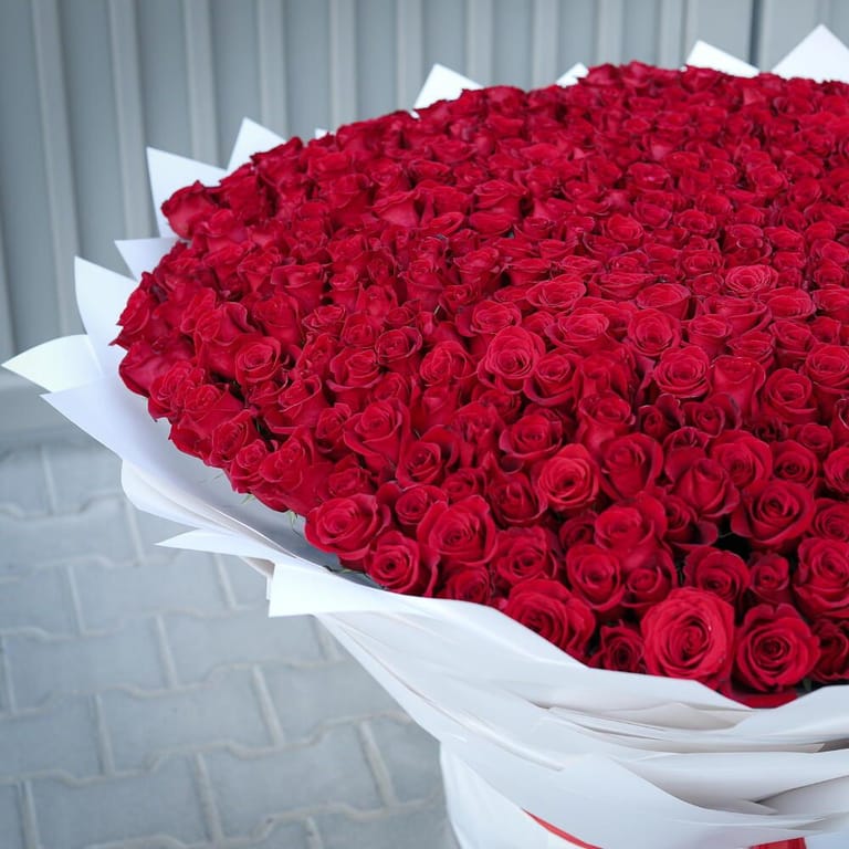 501 Red Roses Grand Luxury Bouquet-A1424 - Image 6
