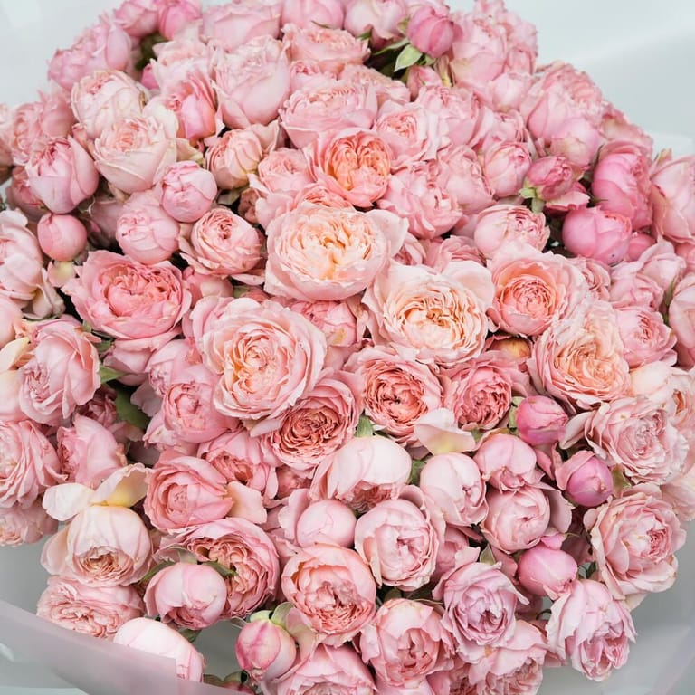 51 Julietta Peony Roses Luxury Bouquet-A1587 - Image 3
