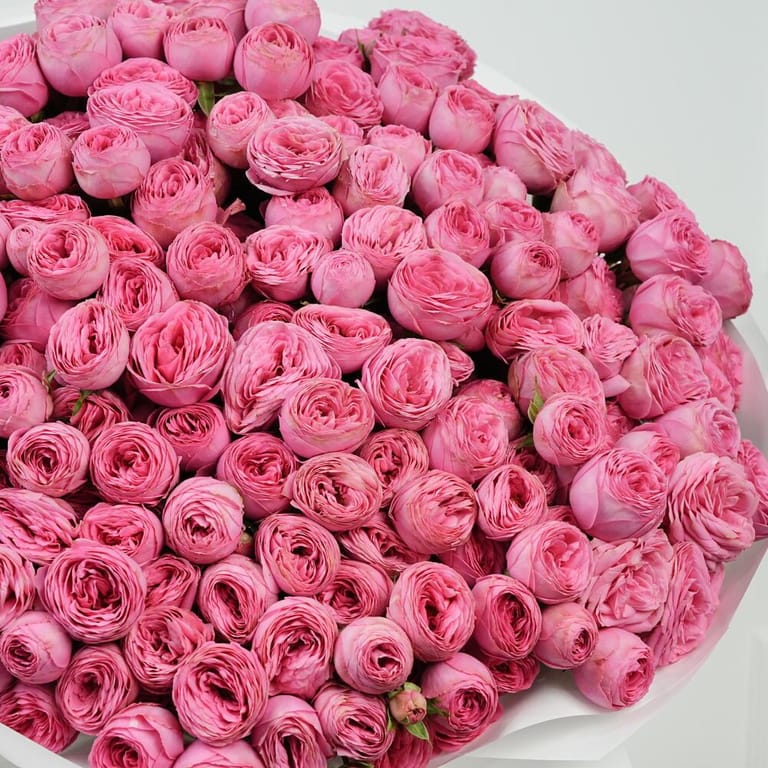 51 Giselle Peony Spray Roses Bouquet-A1633 - Image 4