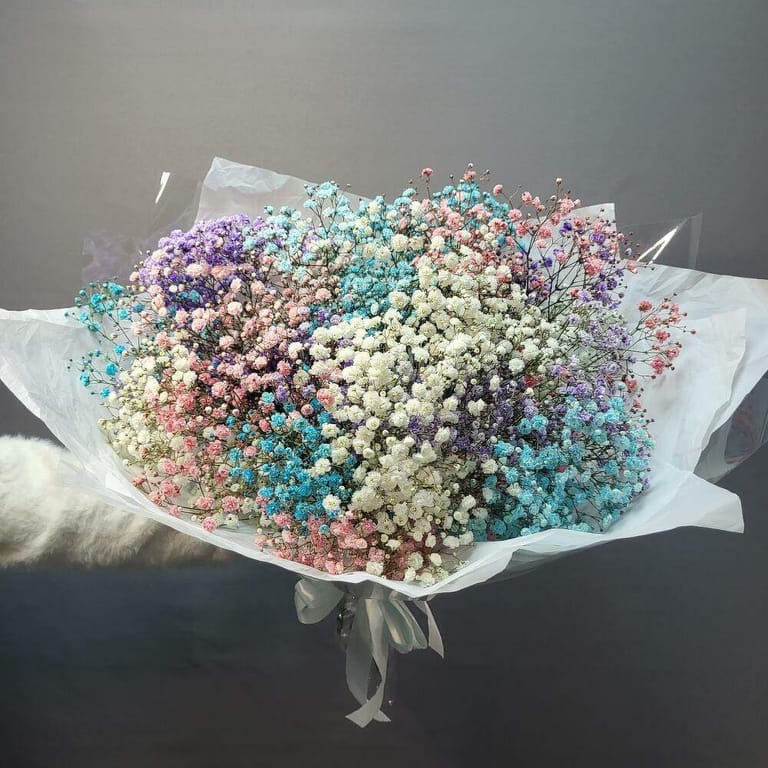 Rainbow Baby s Breath Bouquet-A130 - Image 1