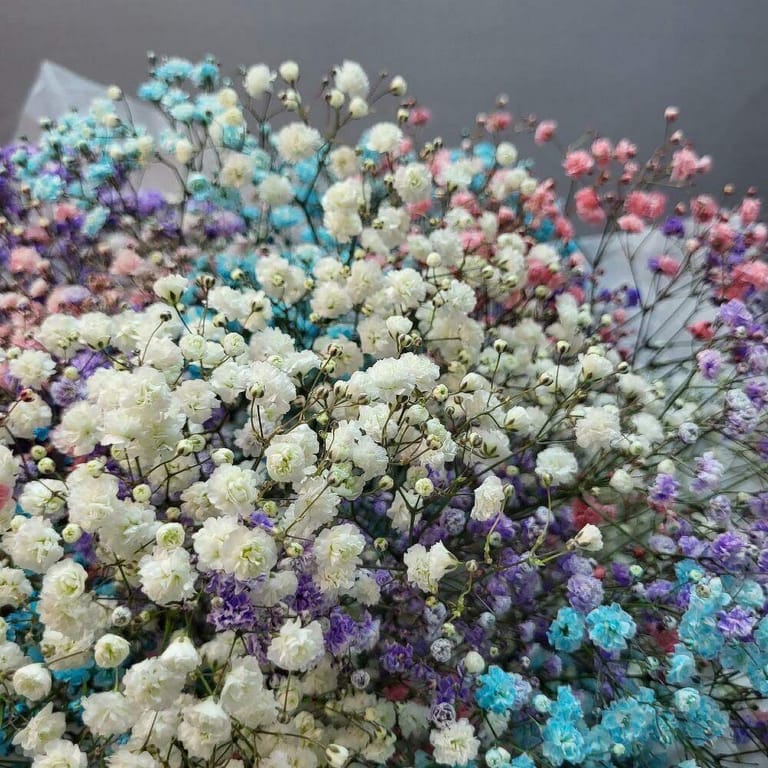 Rainbow Baby s Breath Bouquet-A130 - Image 3