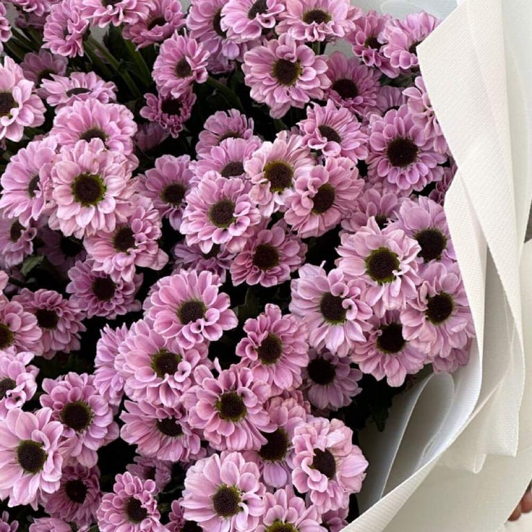 Pink Chrysanthemum Santini Bouquet-A211 - Image 5