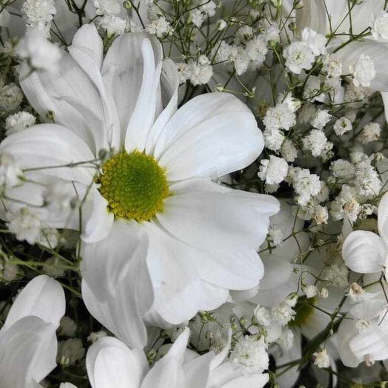 White Daisy Baby s Breath Bouquet-A260 - Image 4