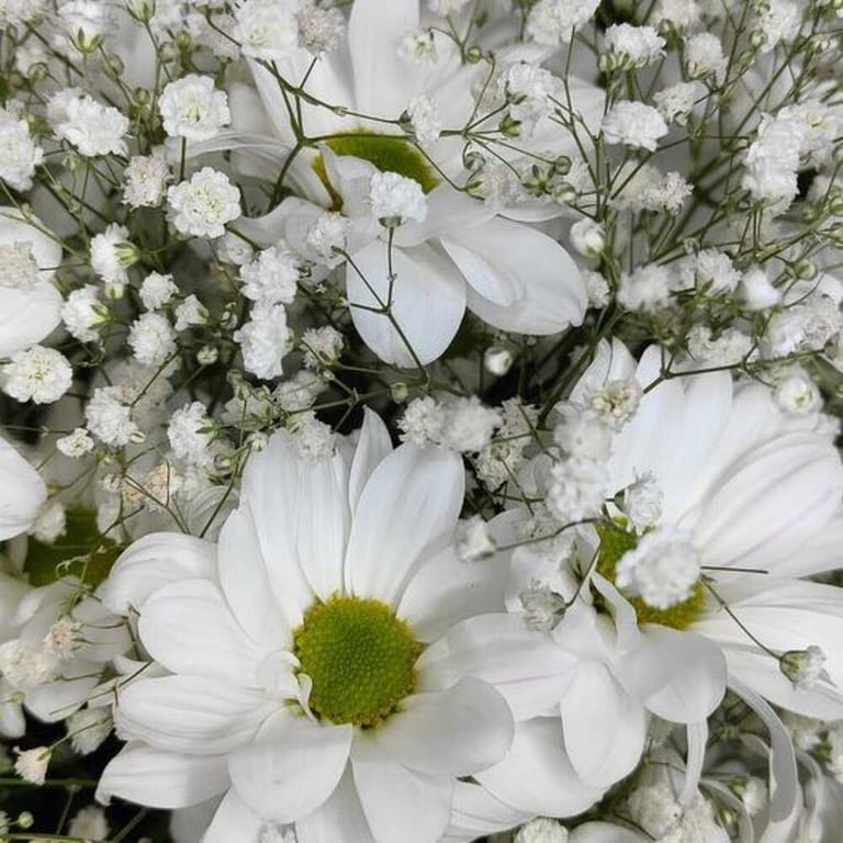 White Daisy Baby s Breath Bouquet-A260 - Image 6